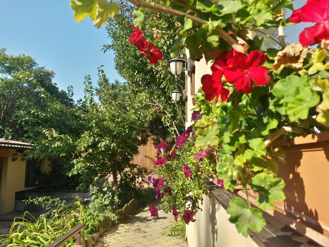 Casa Mica Guesthouse Bukarest Kültér fotó