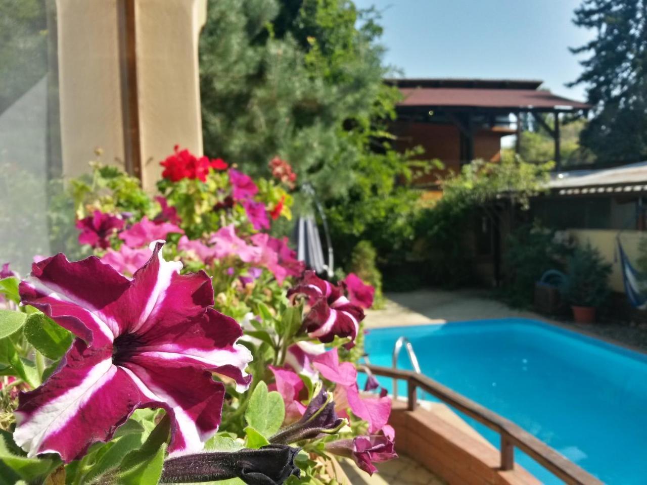 Casa Mica Guesthouse Bukarest Kültér fotó
