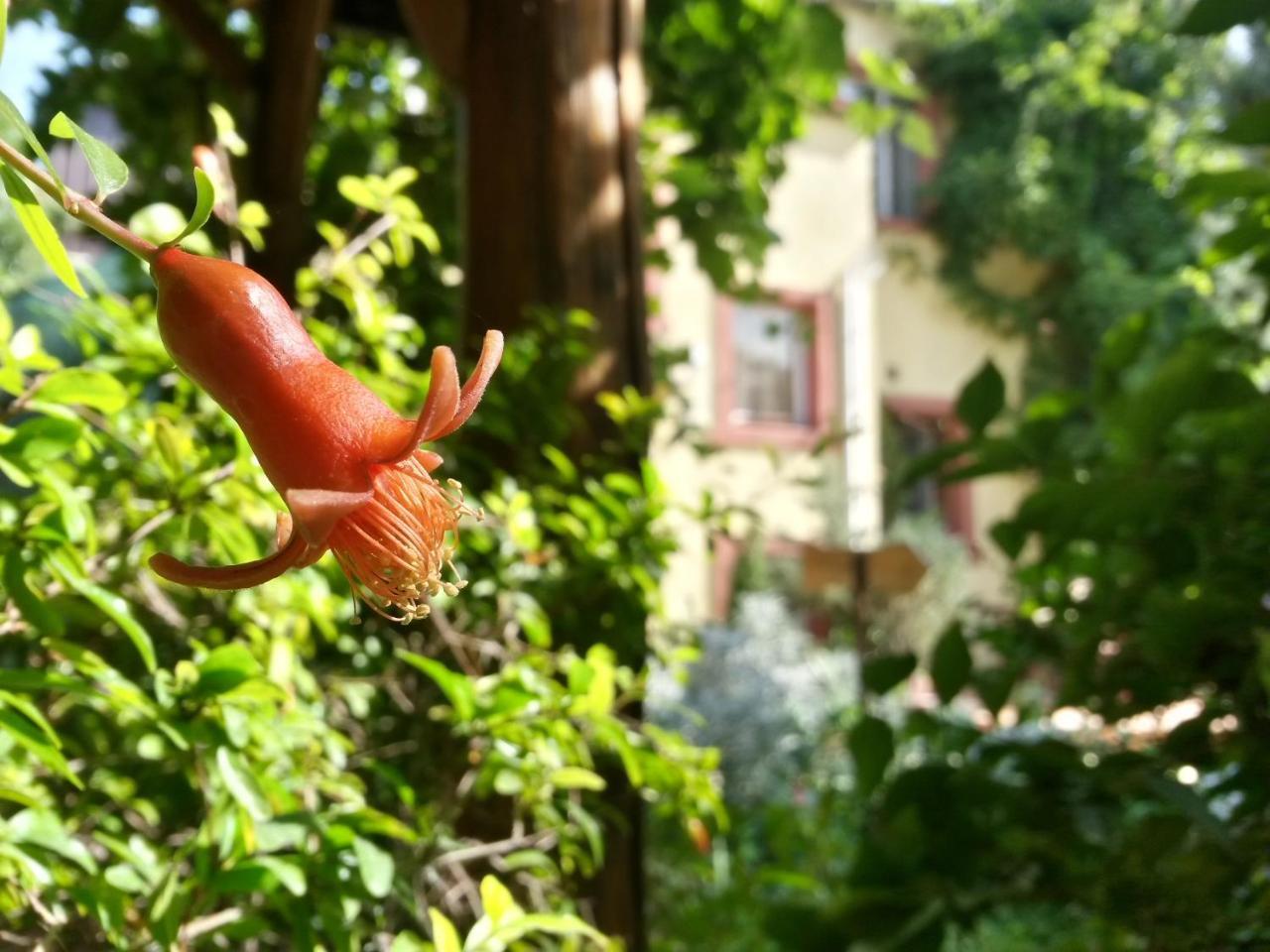 Casa Mica Guesthouse Bukarest Kültér fotó