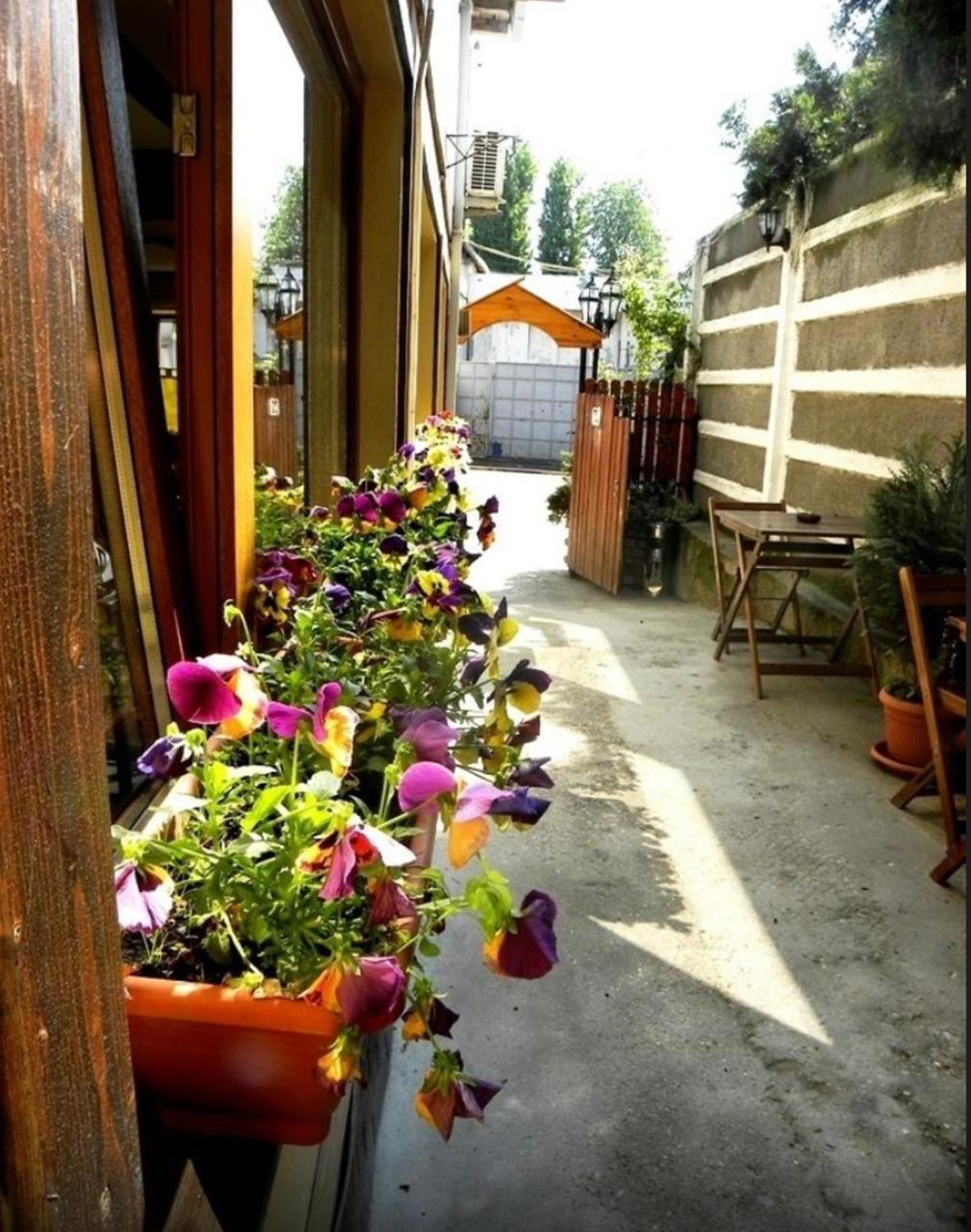Casa Mica Guesthouse Bukarest Kültér fotó